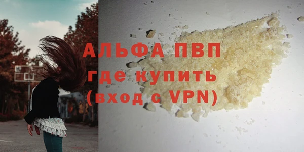 ECSTASY Богородск