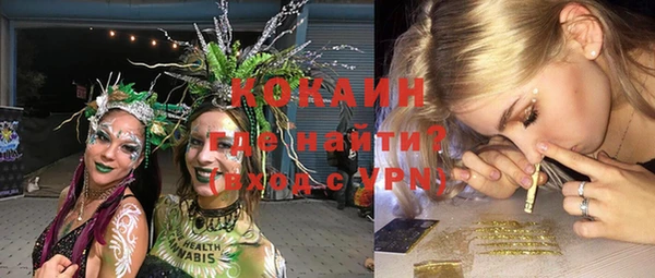 ECSTASY Богородск