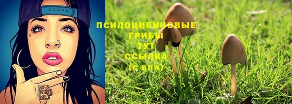 стафф Богданович