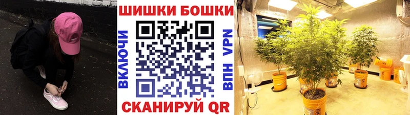 Шишки марихуана OG Kush  Купить  Венёв 